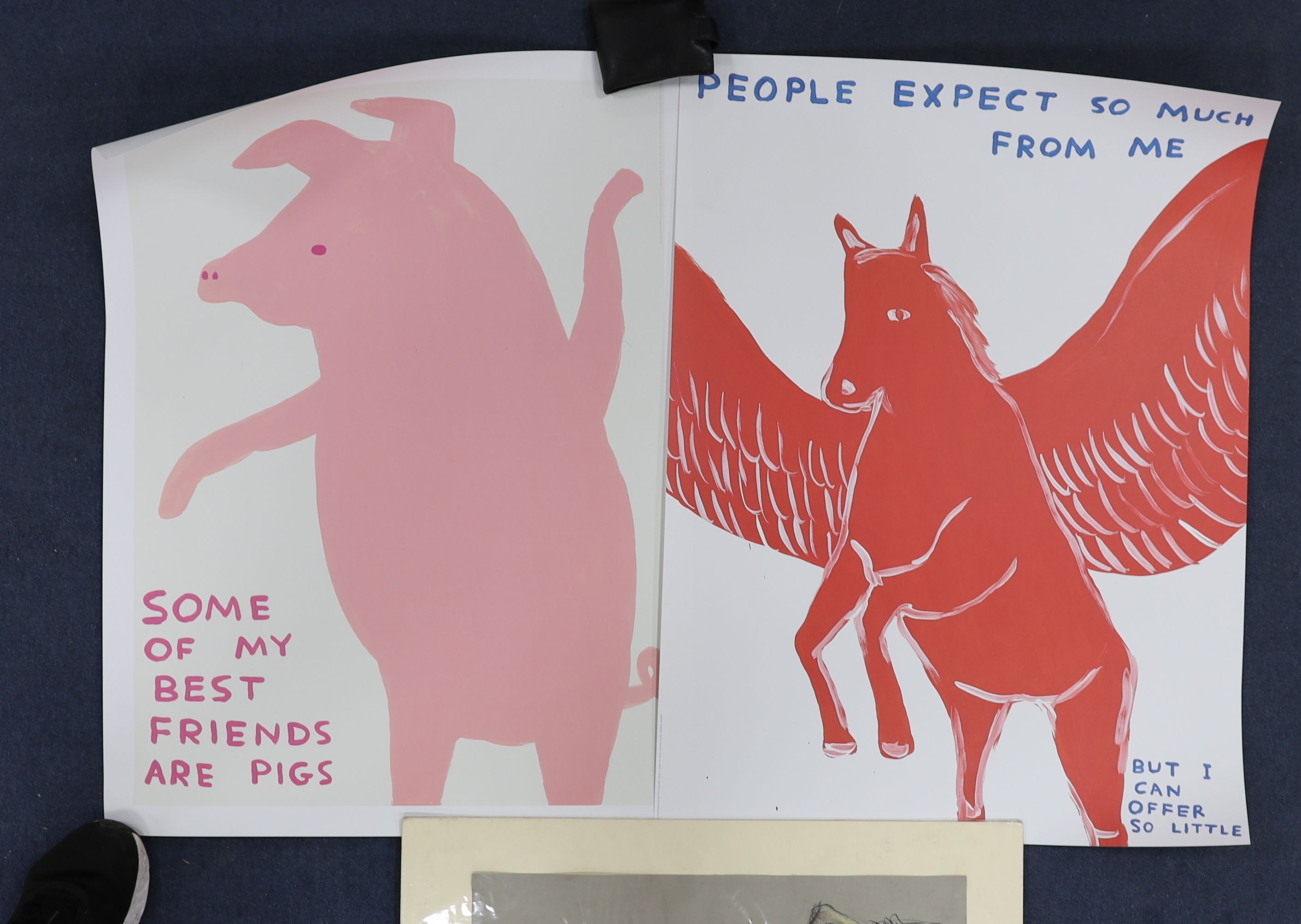 David Shrigley (1968-), two colour prints, 'People expect so much from me' and 'Some of my best friends are pigs', 80 x 60cm